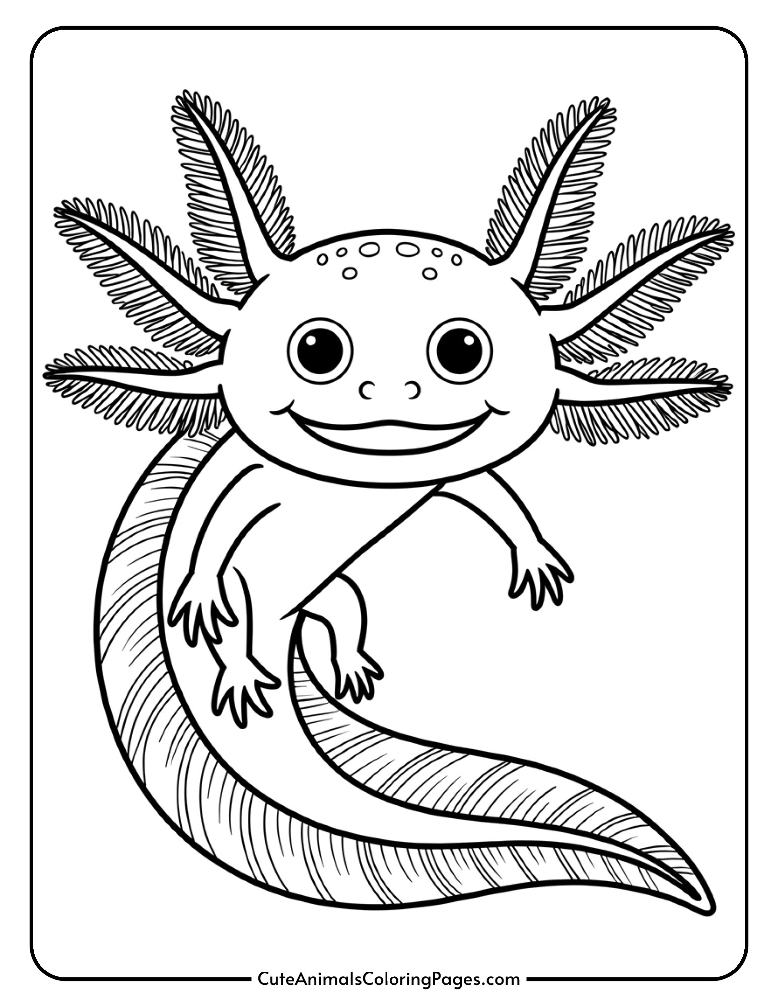 A realistic axolotl drawing showing detailed external gills and natural body proportions.
