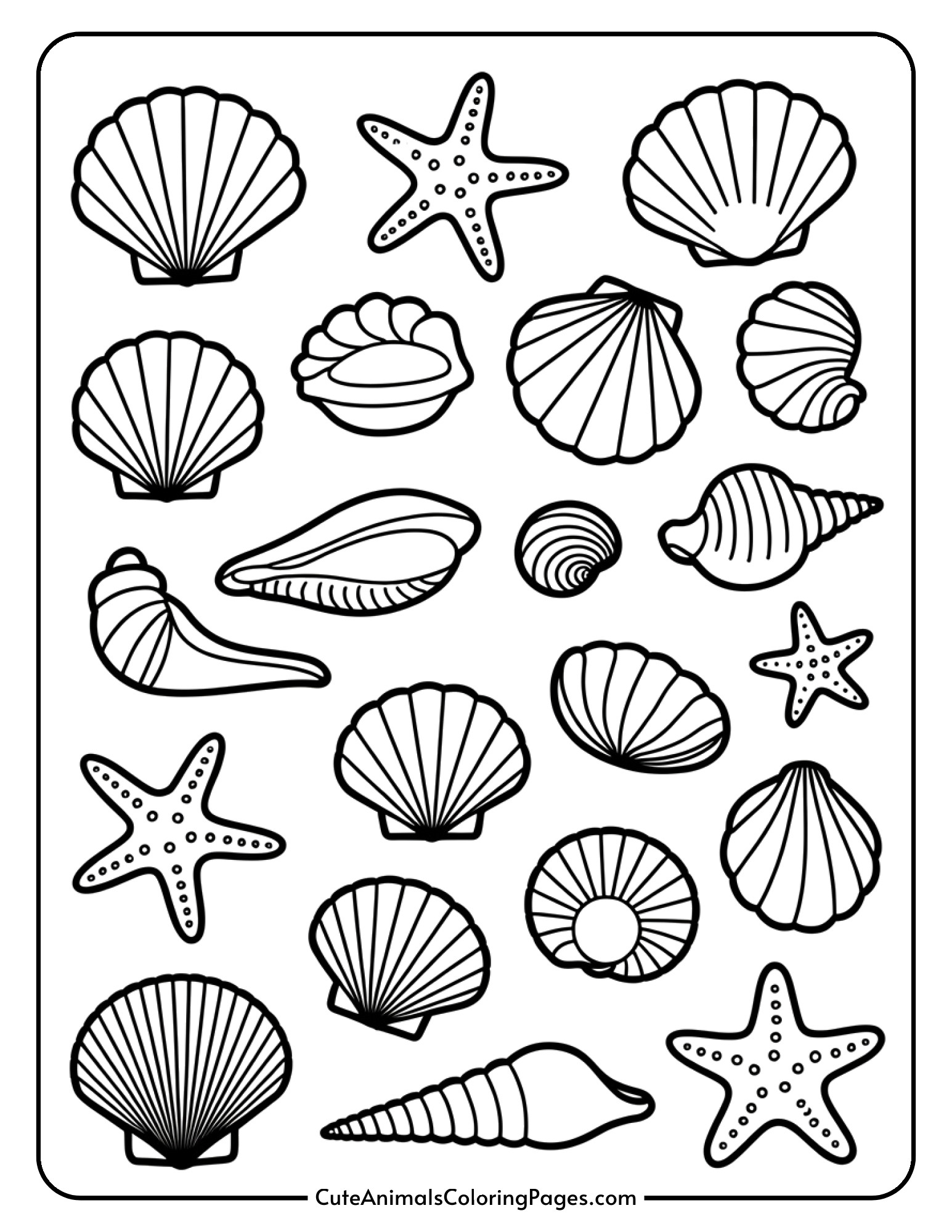 An arrangement of different seashells including a conch shell, scallop shell, spiral shells, and a starfish.