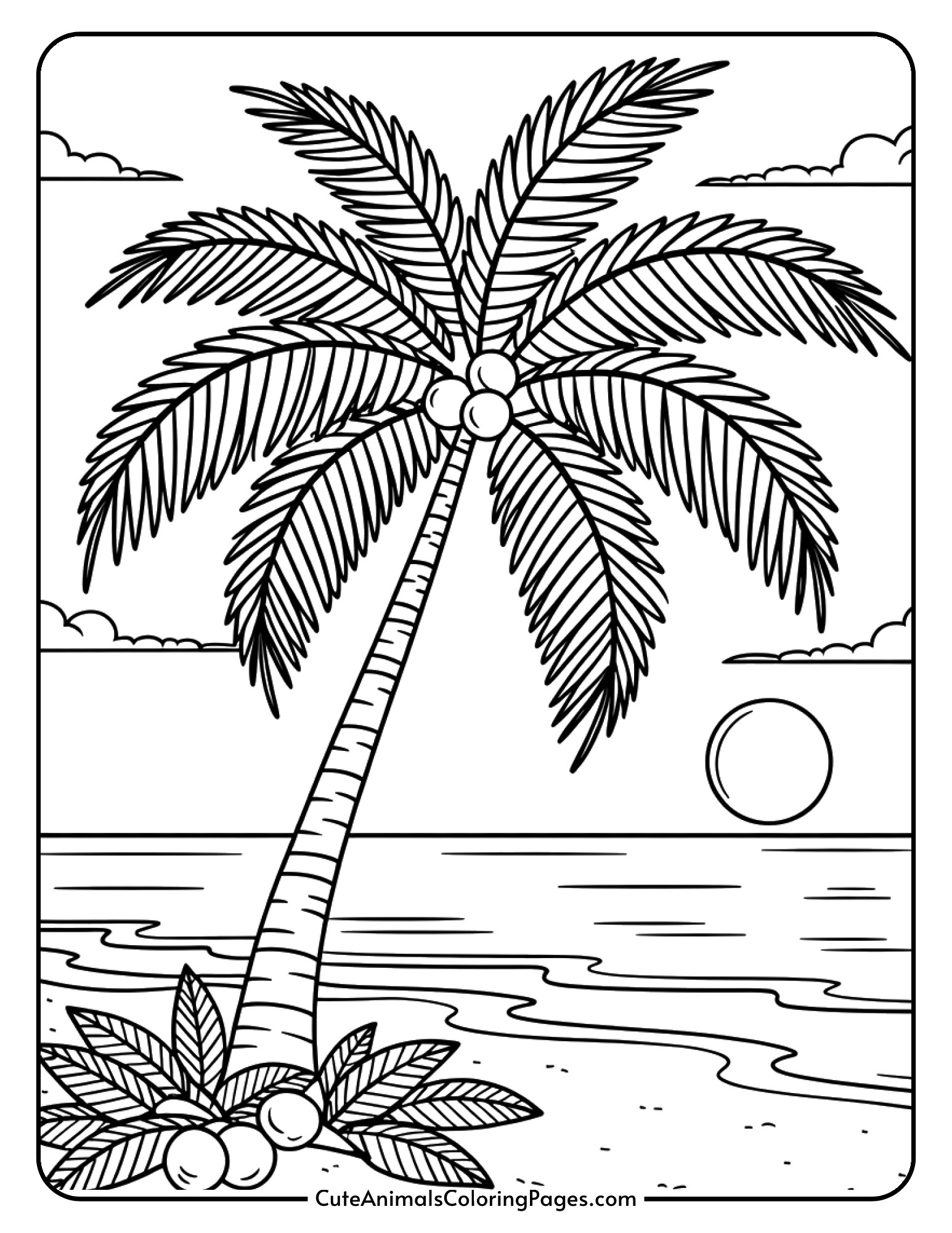 A tall palm tree on the beach with coconuts hanging from it and the ocean in the background.
