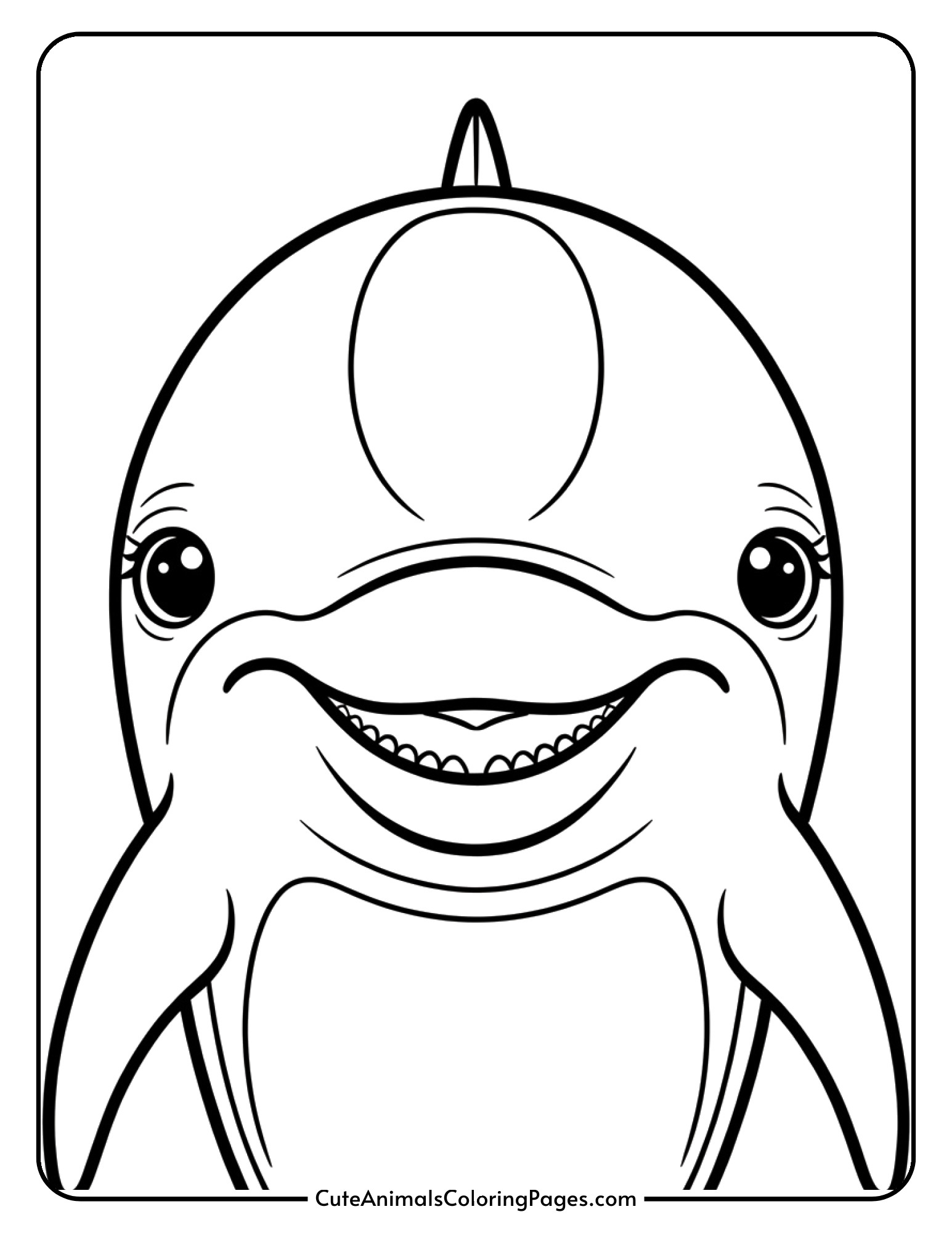 A close-up portrait of a dolphin's face showing its characteristic smile and friendly expression.