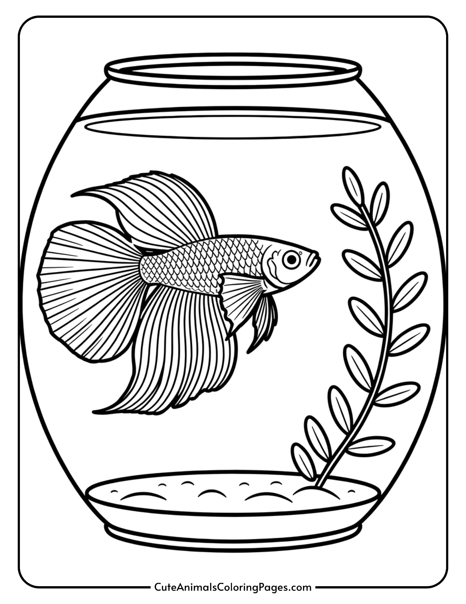 A compact fish tank containing a single betta fish with elaborate flowing fins next to an aquatic plant.