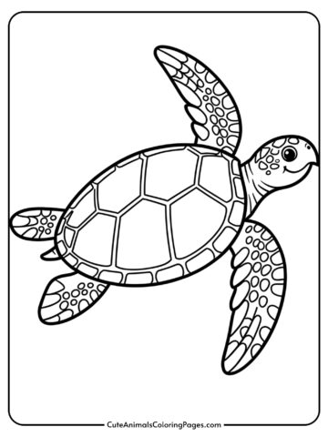 A cheerful sea turtle with a patterned shell swimming through the ocean.