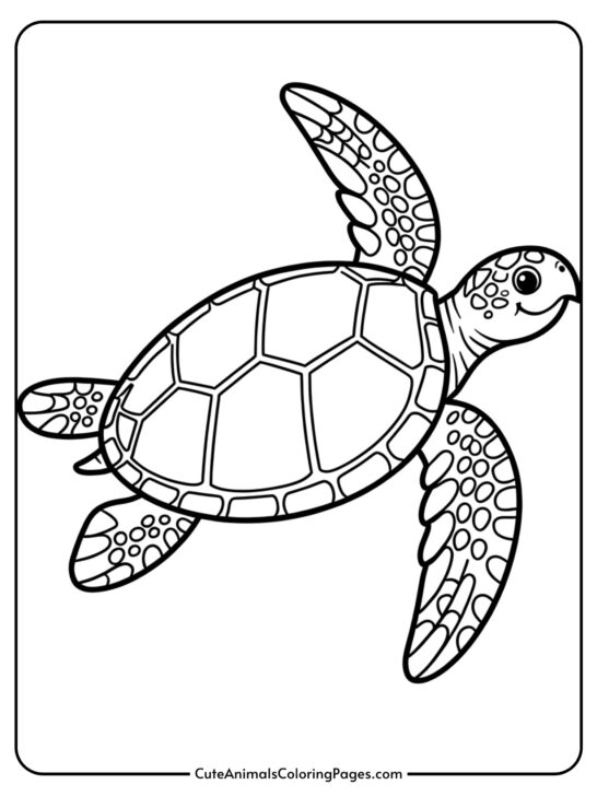 Ocean Coloring Pages (10 Sheets To Color)