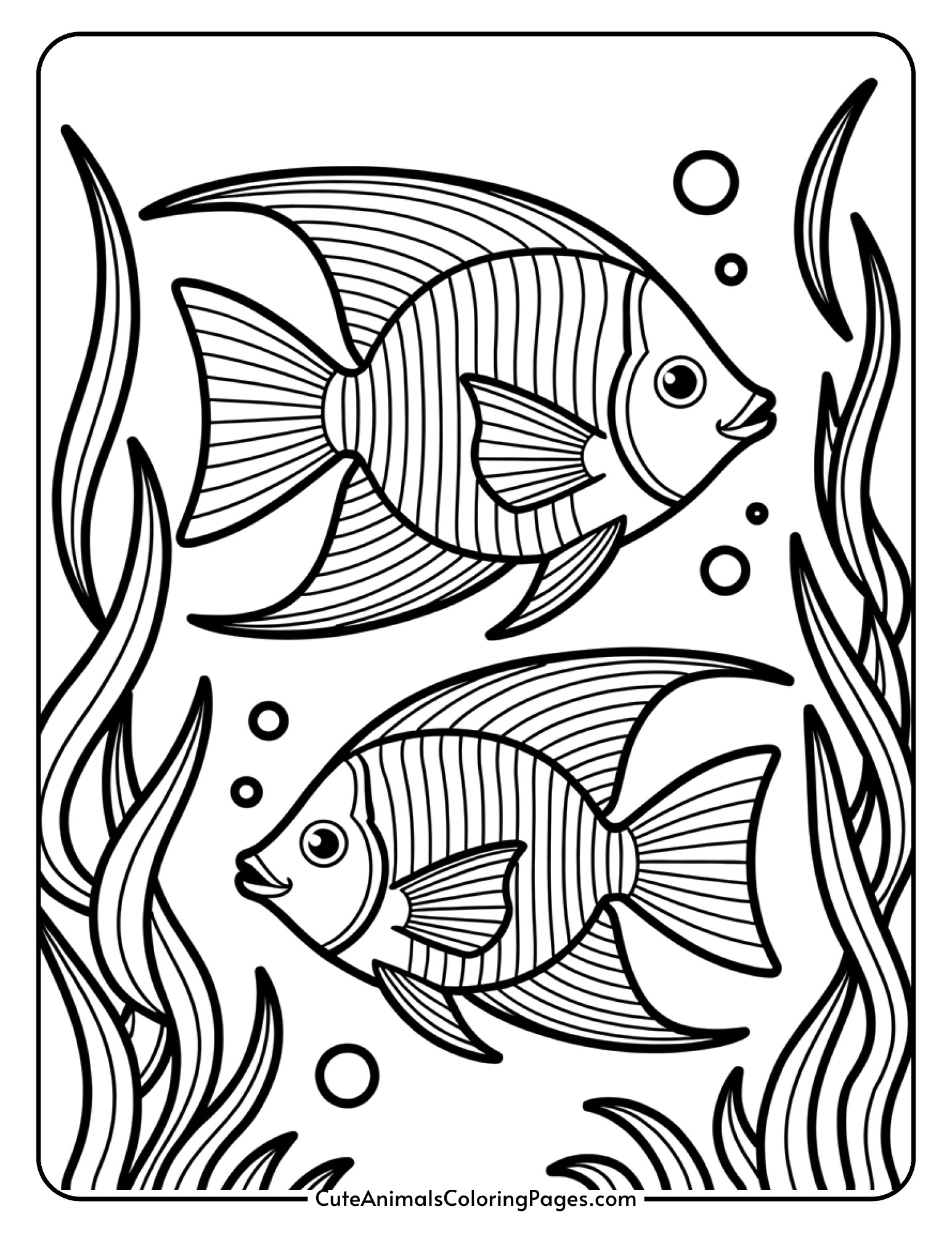 A beautiful tropical fish with elaborate fins and scale patterns swimming through seaweed.