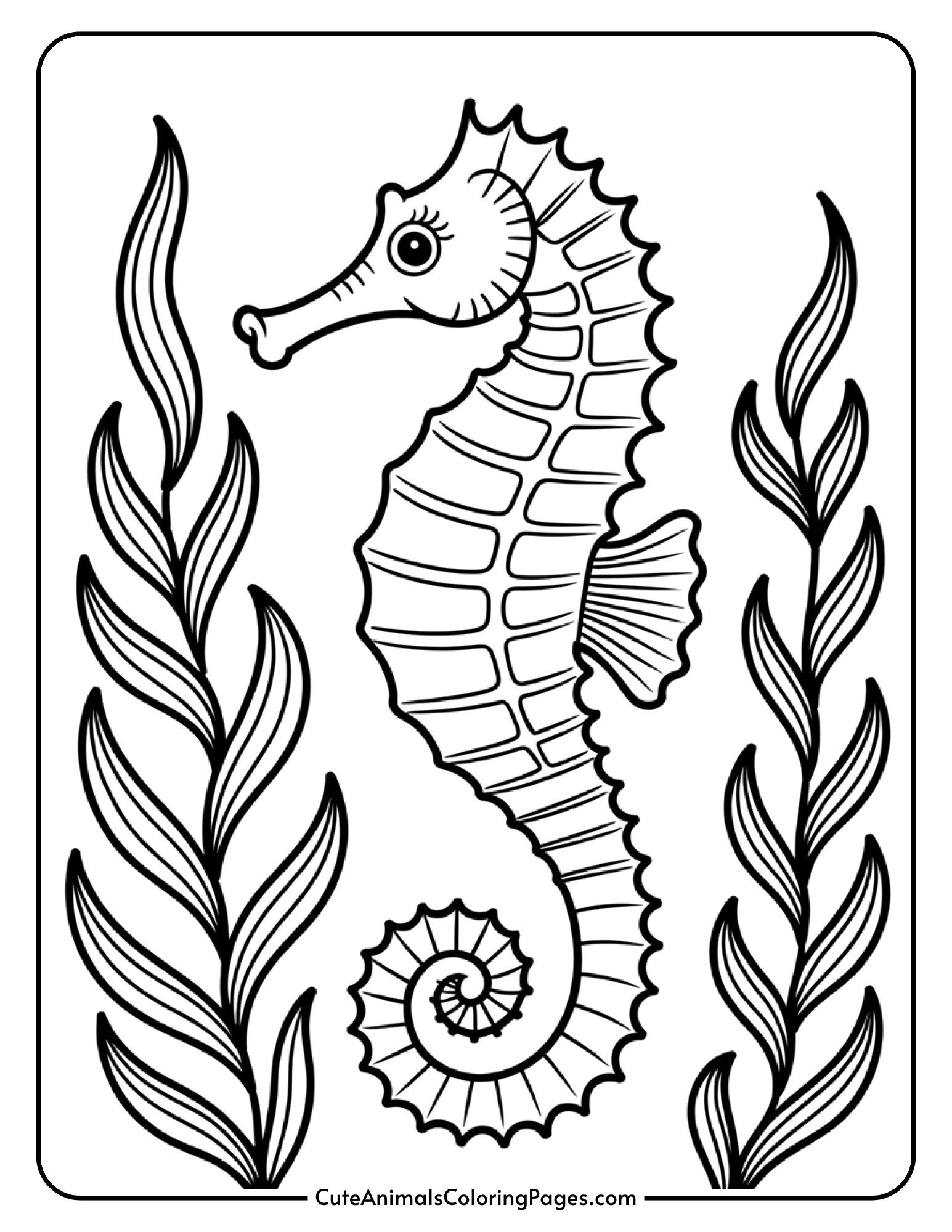 A delicate seahorse with its tail curled around a piece of seaweed.