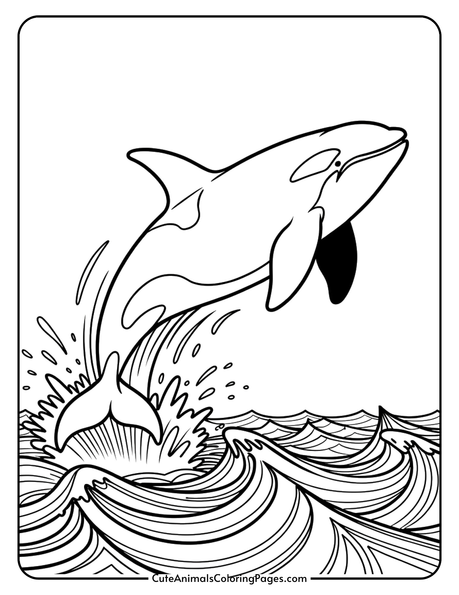 An orca whale jumping dramatically out of the ocean with splashing water.