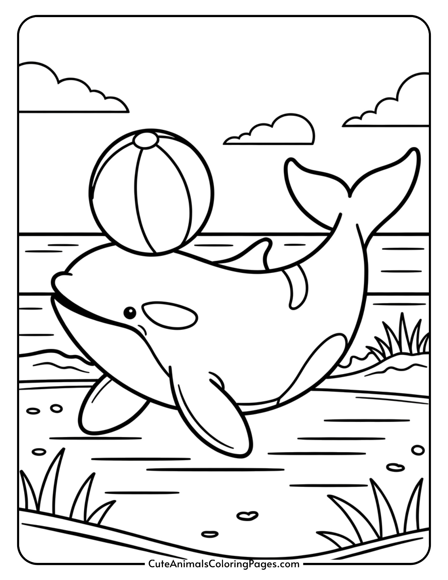 A playful orca balancing a beach ball on its nose.