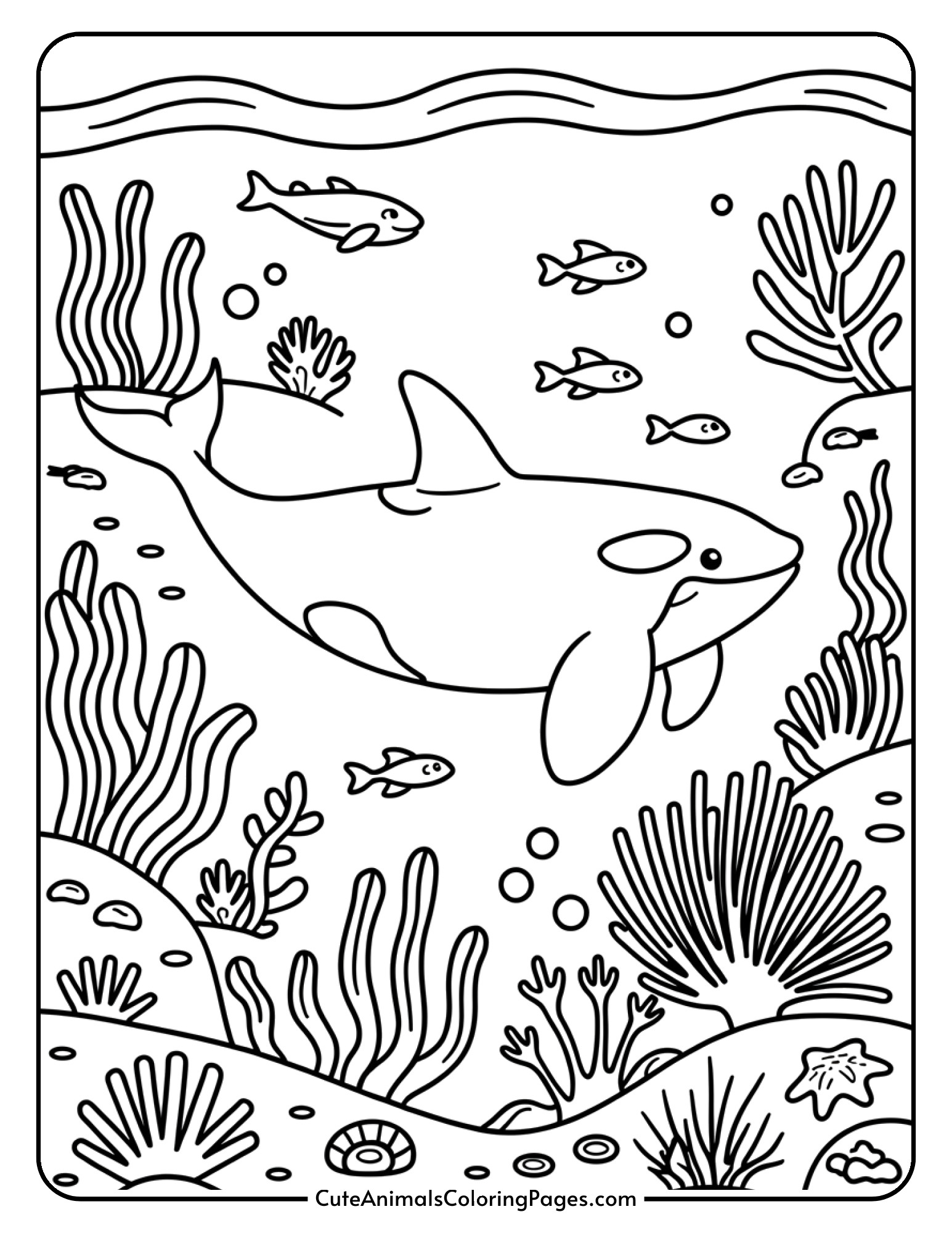 An orca whale swimming through its ocean habitat with seaweed and marine life.