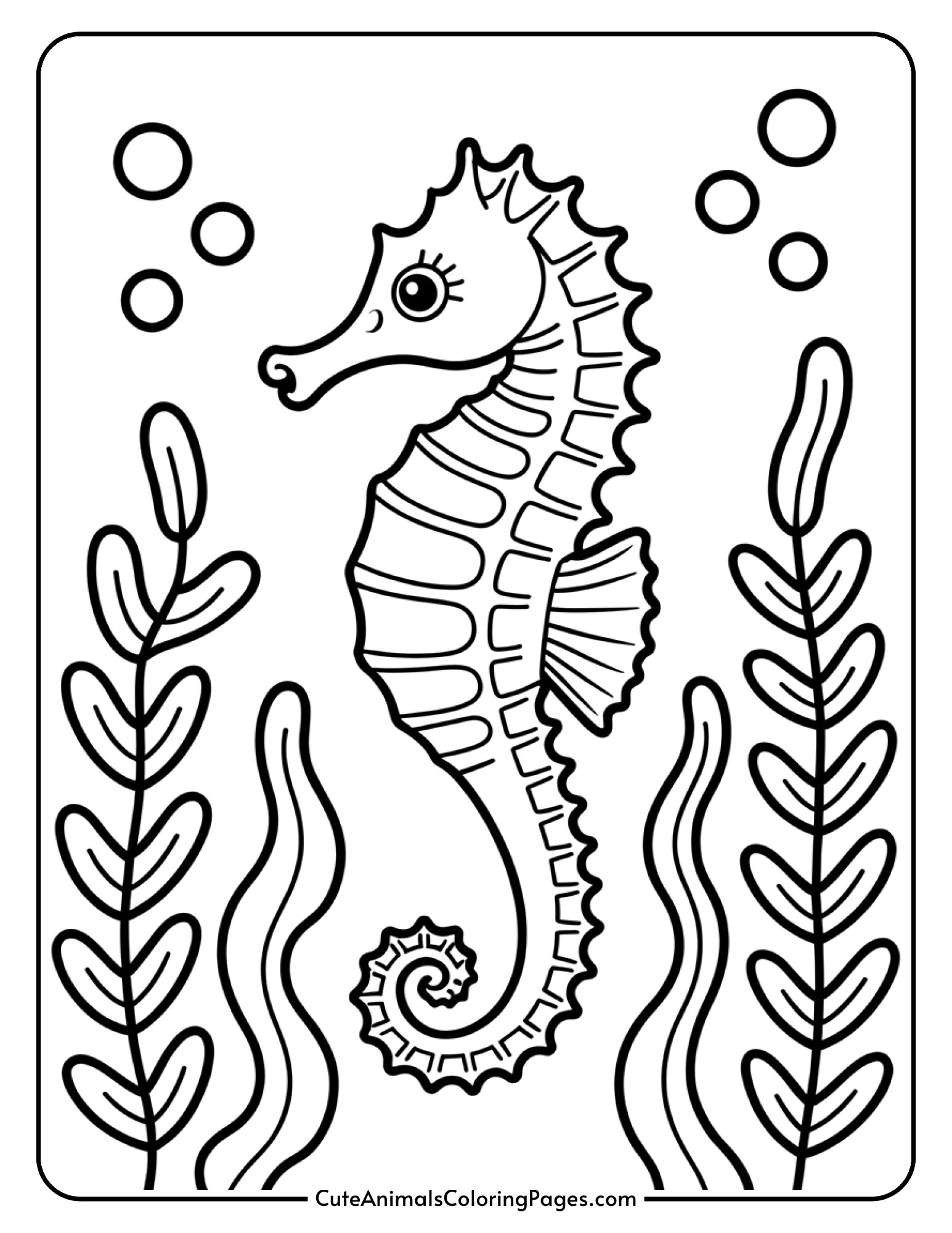 A seahorse with a curly tail and delicate fins floating near seaweed.