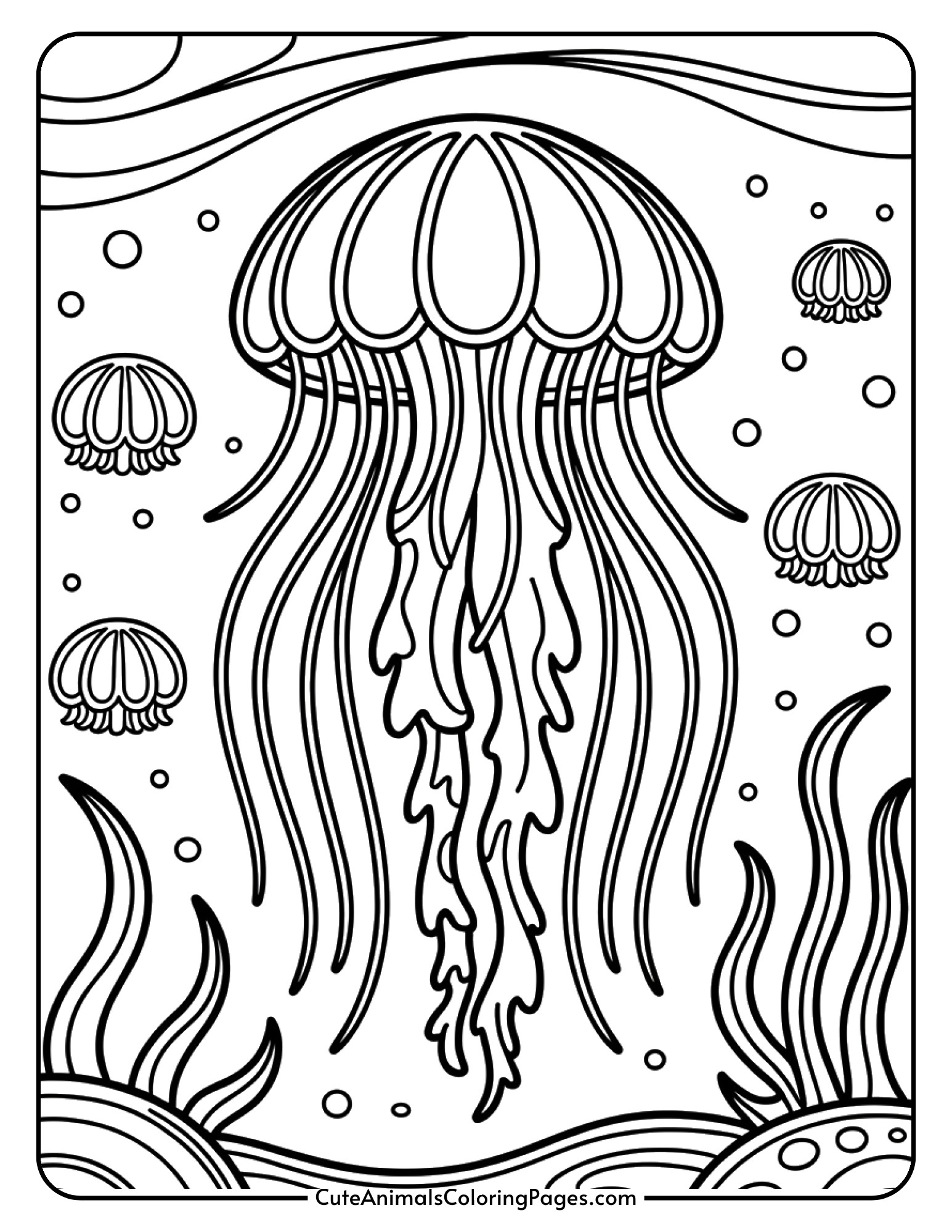 A jellyfish with a dome-shaped body and long flowing tentacles drifting through the water.