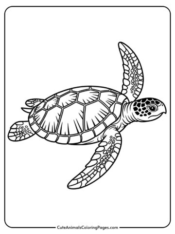 A realistic sea turtle with detailed shell segments swimming through the ocean.