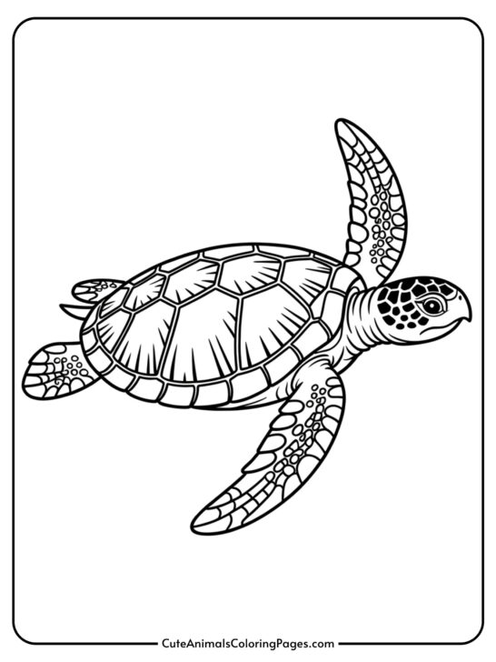 Sea Turtle Coloring Pages (7 Pages To Print)