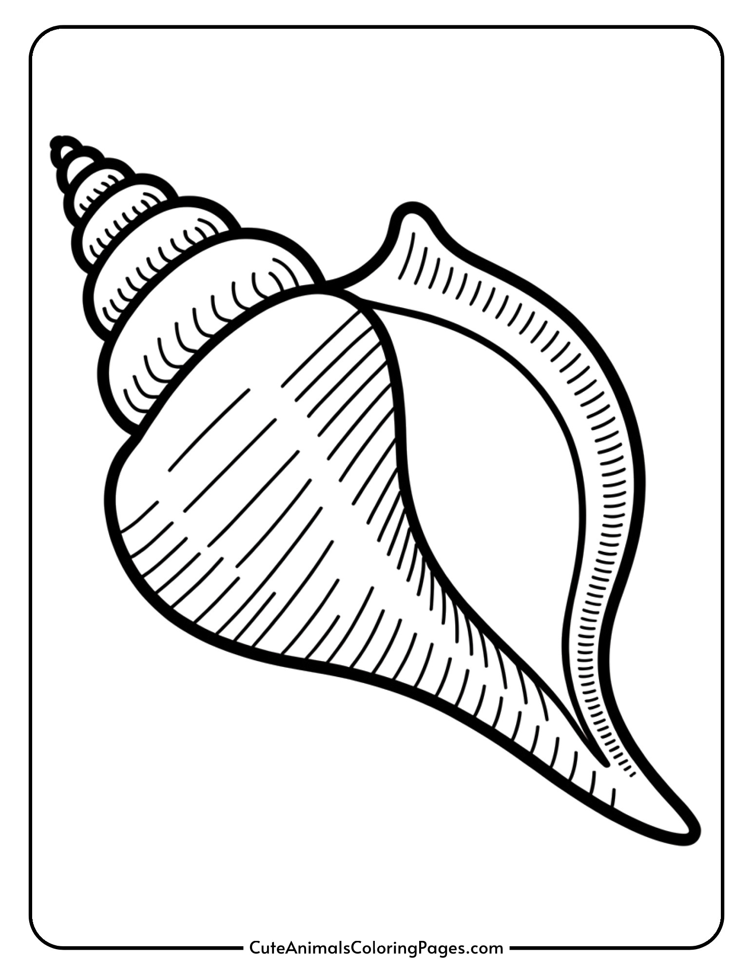 A detailed conch shell with ridges and texture lines for coloring.