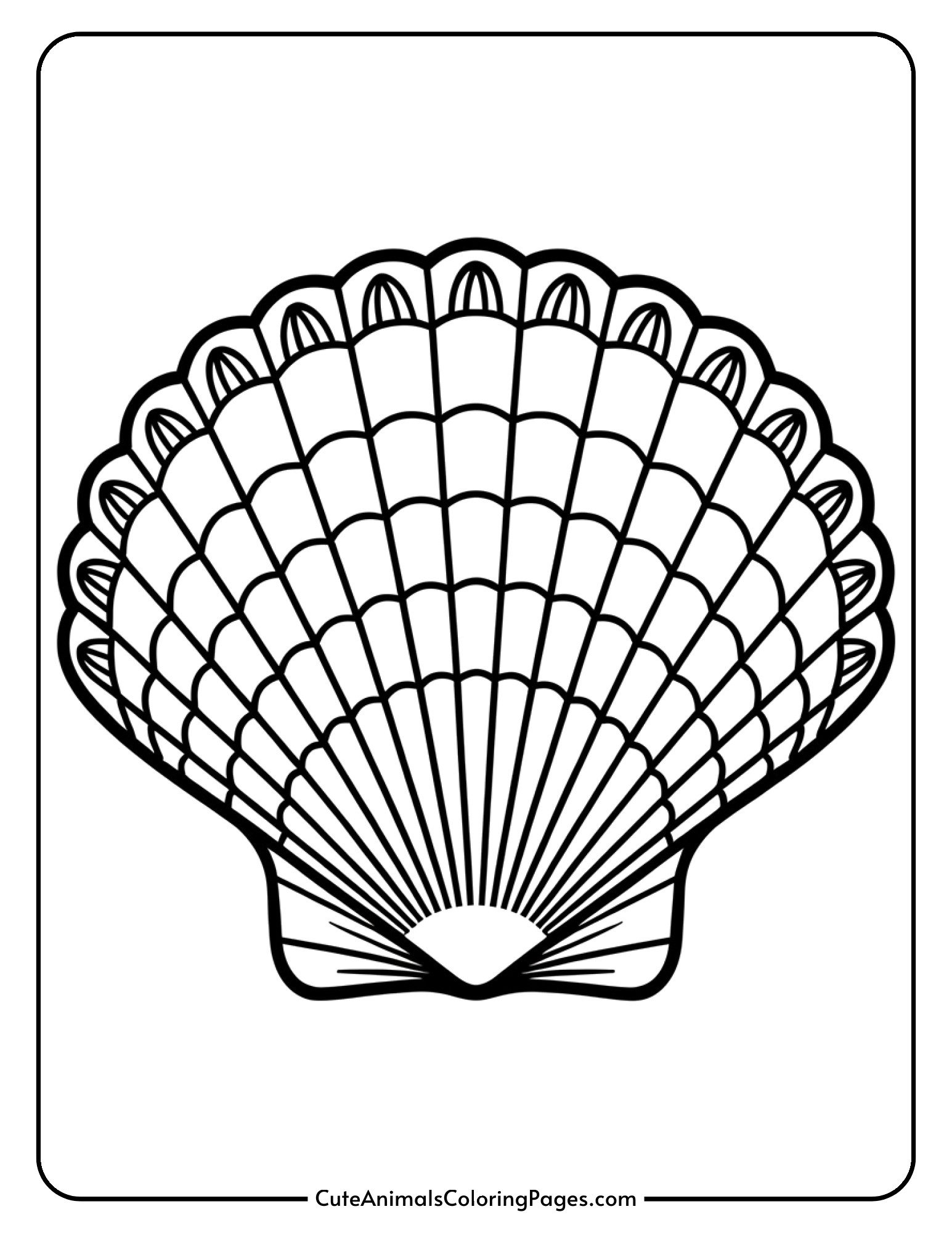 A fan-shaped scallop shell with radiating lines forming a beautiful pattern.