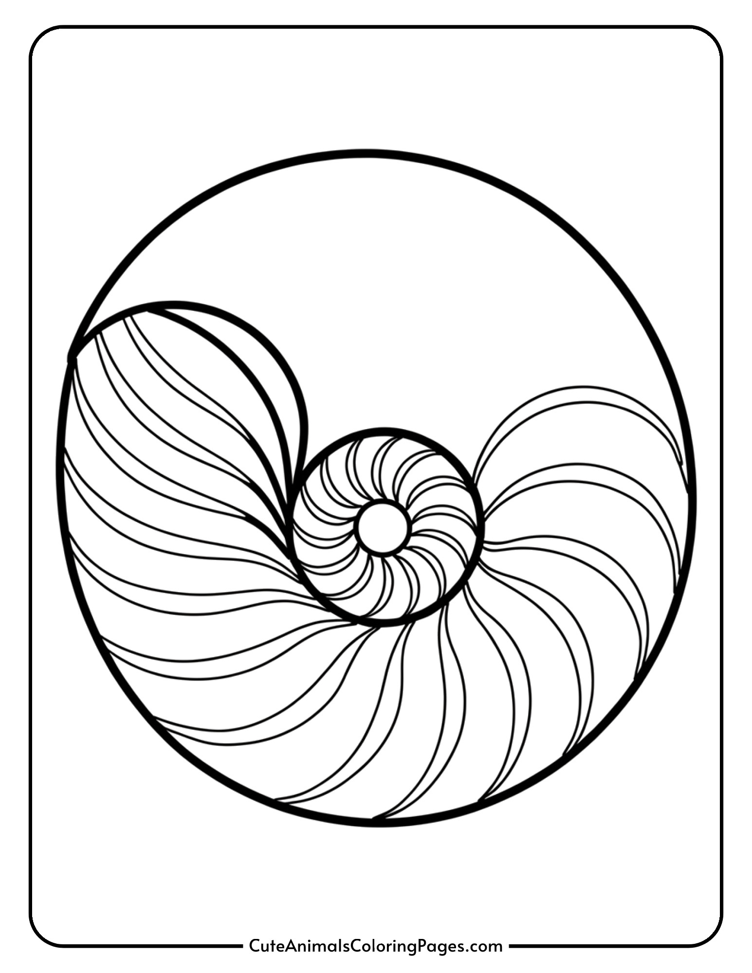 A nautilus shell shown in cross-section revealing its spiral chamber pattern.