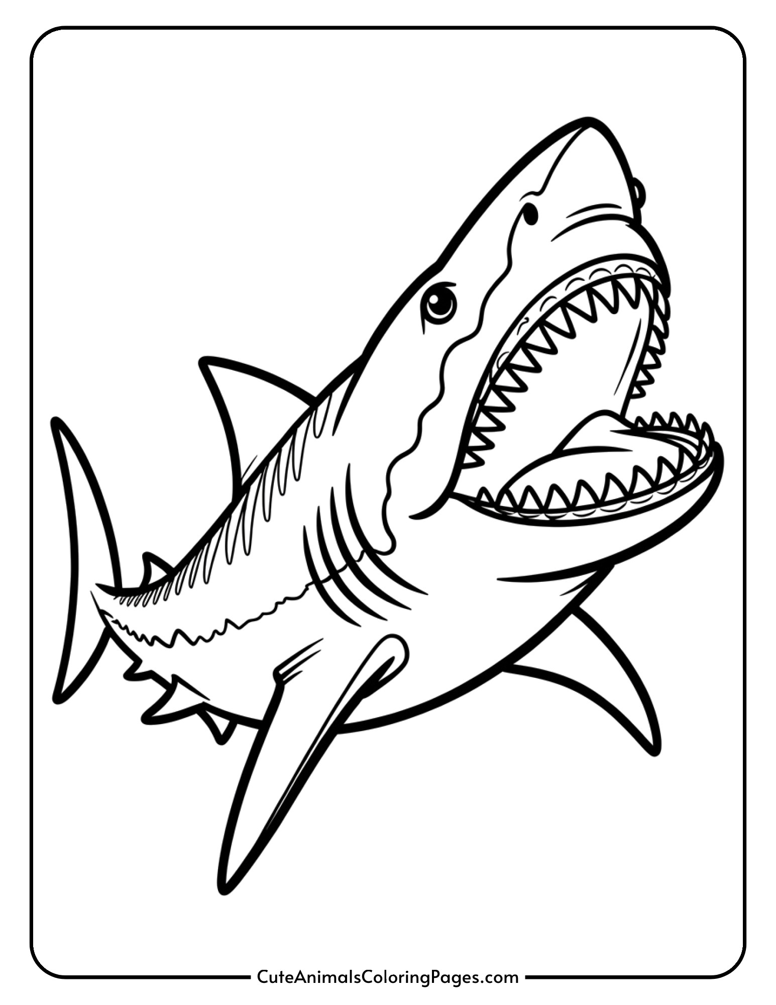 A massive megalodon shark with its mouth open displays rows of large sharp teeth.