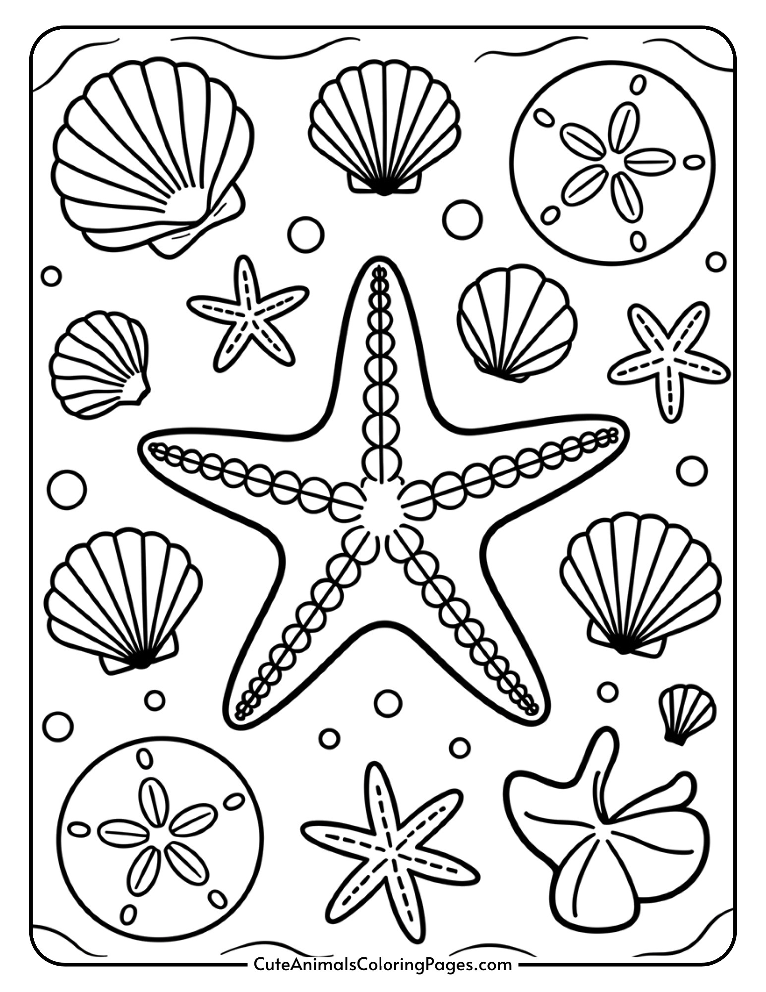 A starfish resting among different seashells and sand dollars scattered on sandy beach.
