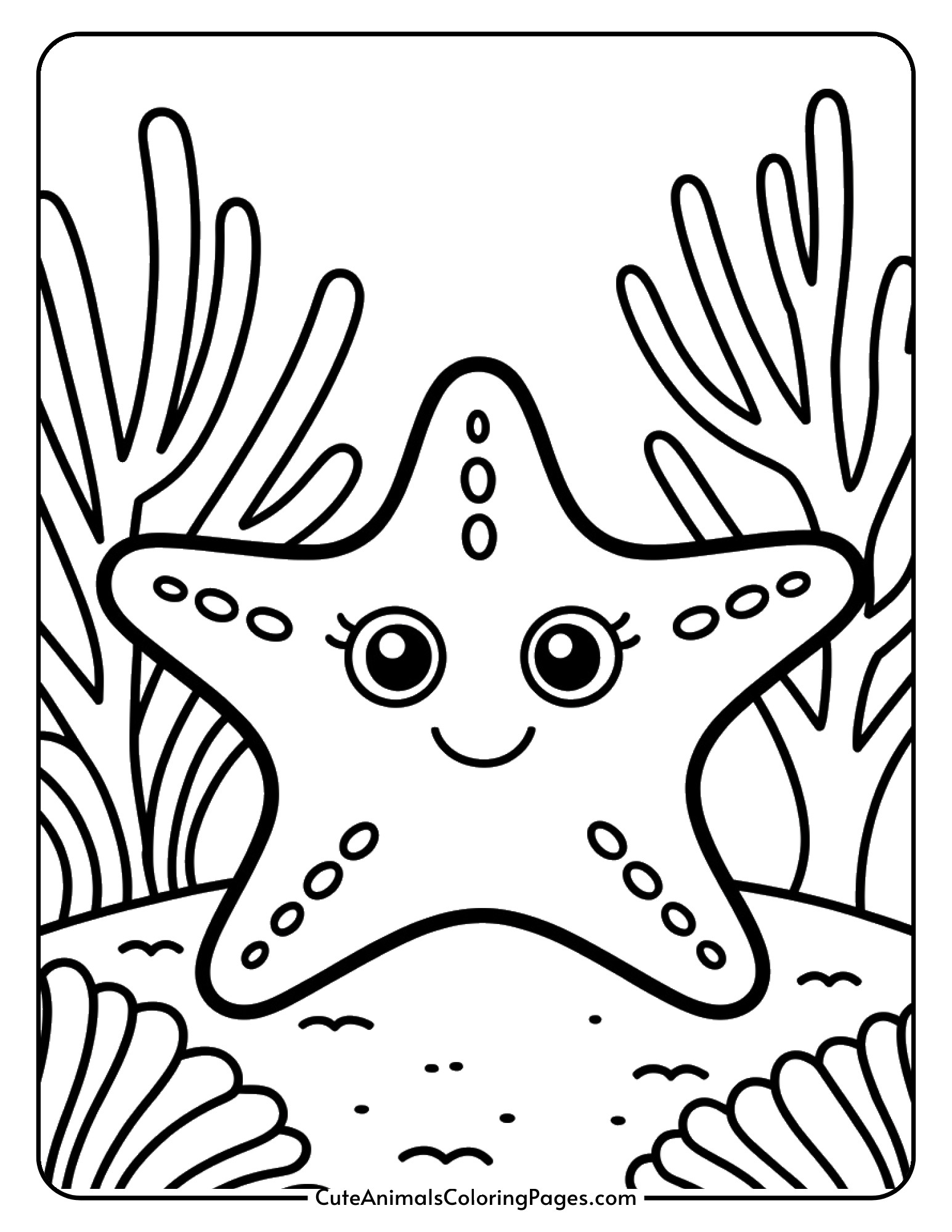 A small baby starfish with chubby rounded arms and sweet expression positioned beside a piece of coral.