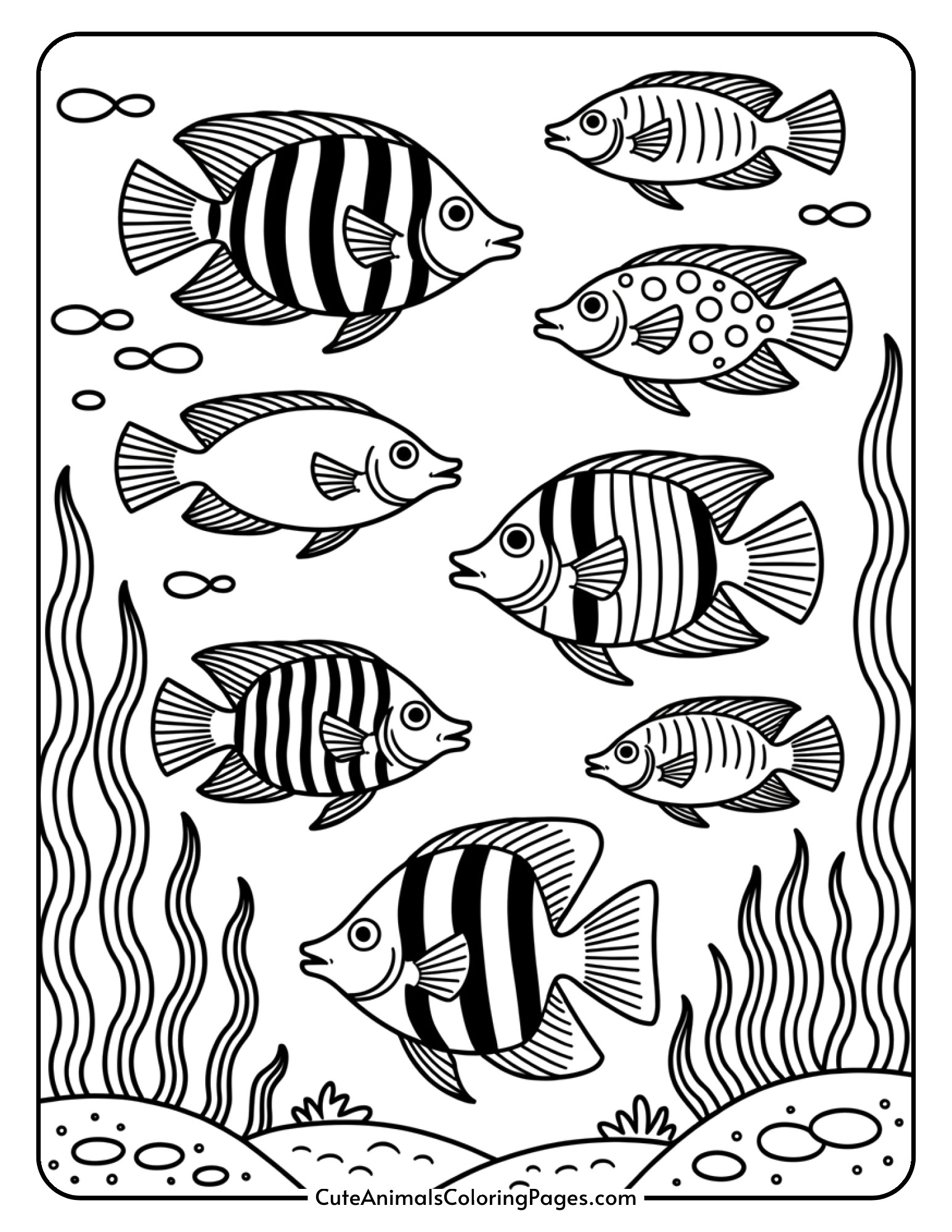 A school of different tropical fish with various patterns swimming together among seaweed.