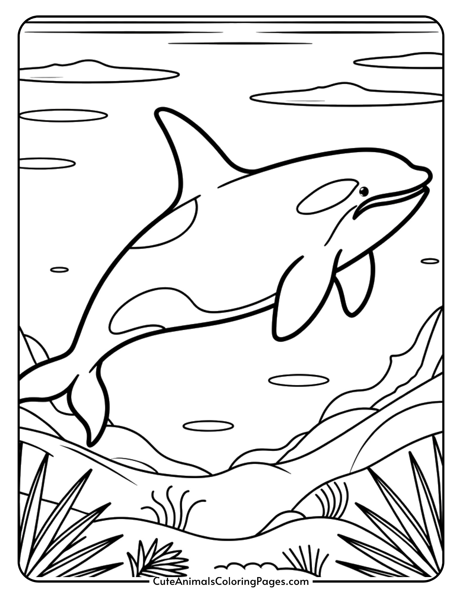 An orca whale with its characteristic black and white coloring pattern.