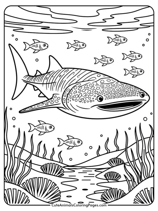 Whale Shark Coloring Page (9 Pages To Print)