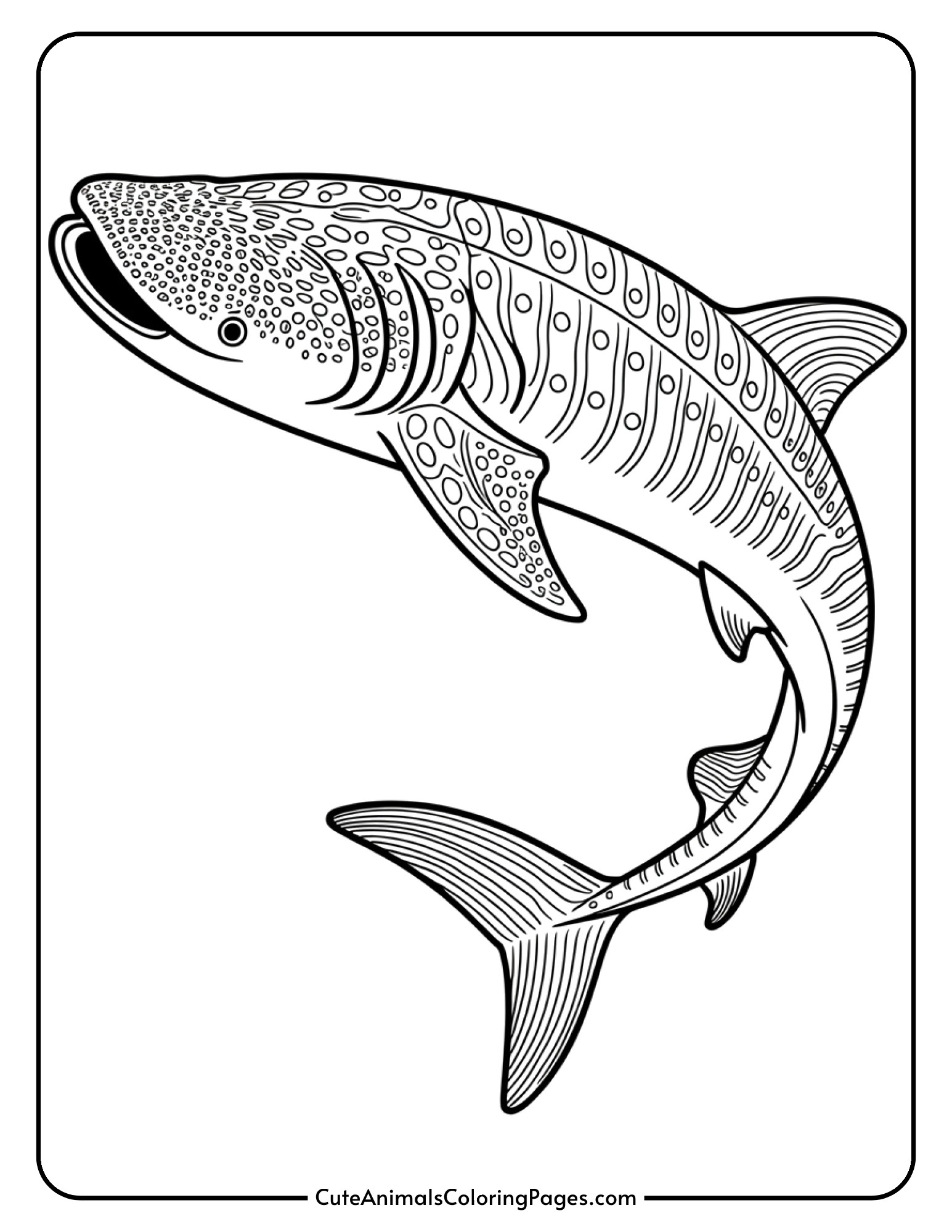 A detailed whale shark illustration showing realistic anatomical features including gill slits and fins.