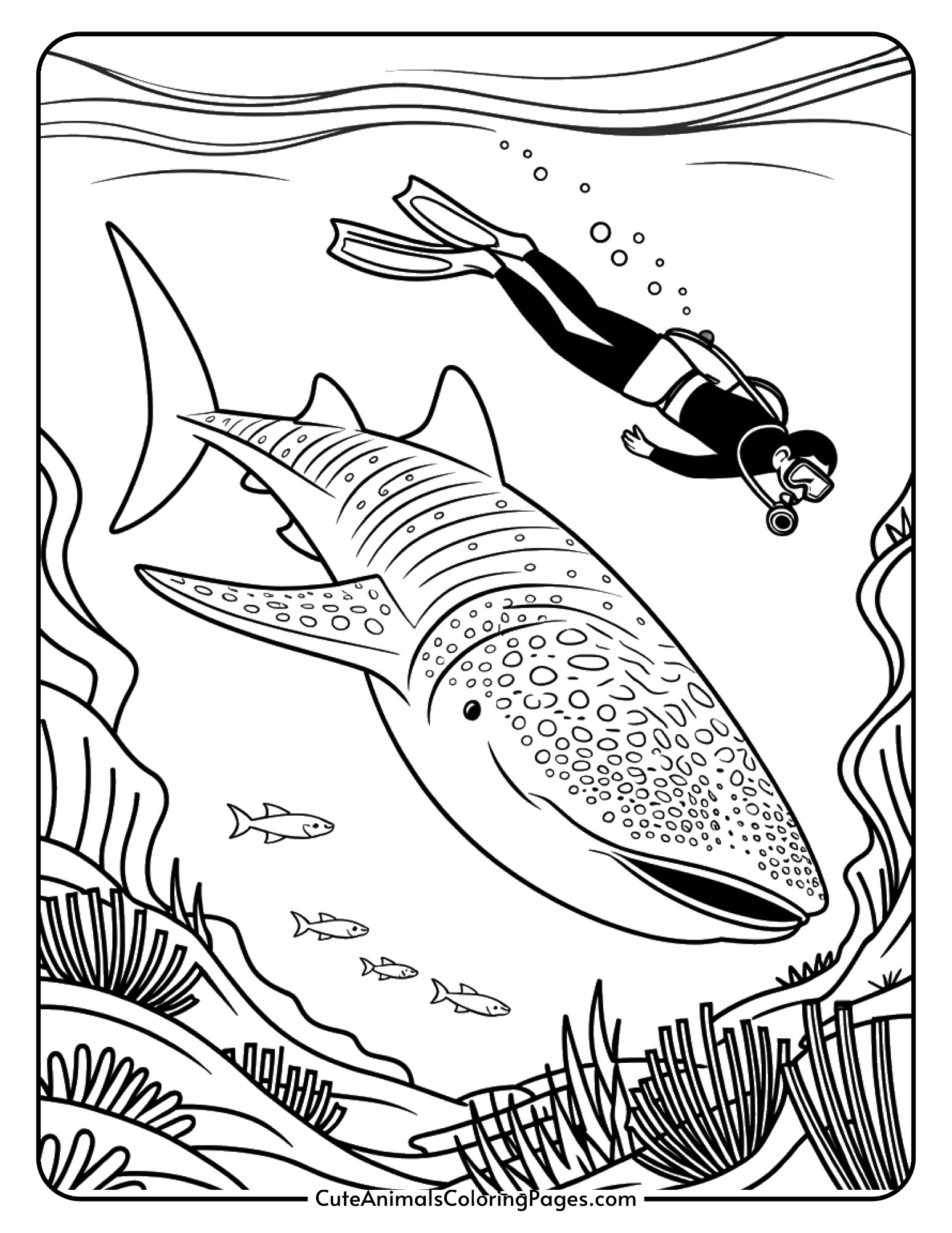 A whale shark swimming calmly alongside a scuba diver exploring the ocean.