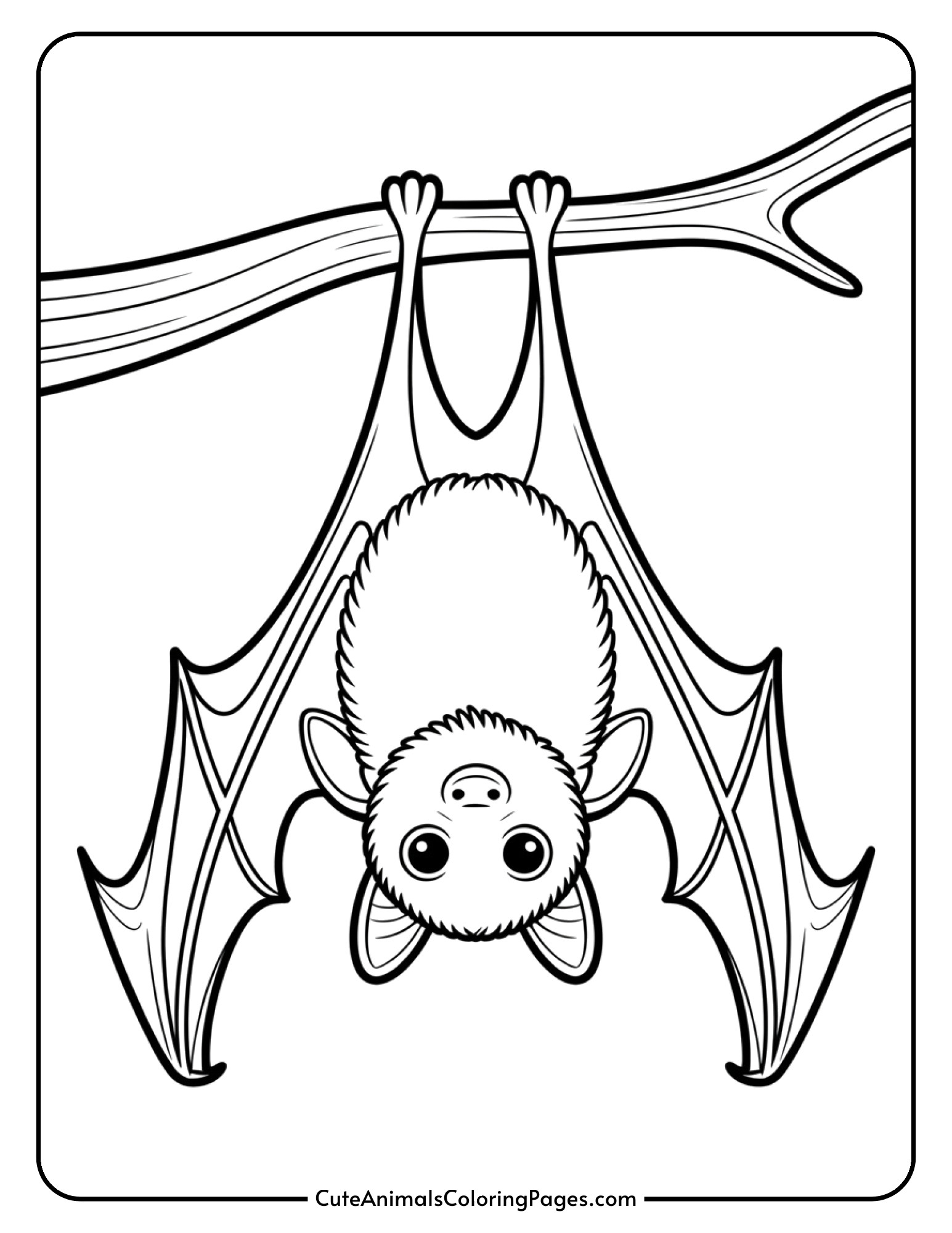 A small baby bat hangs upside down from a branch with its little wings wrapped around itself.