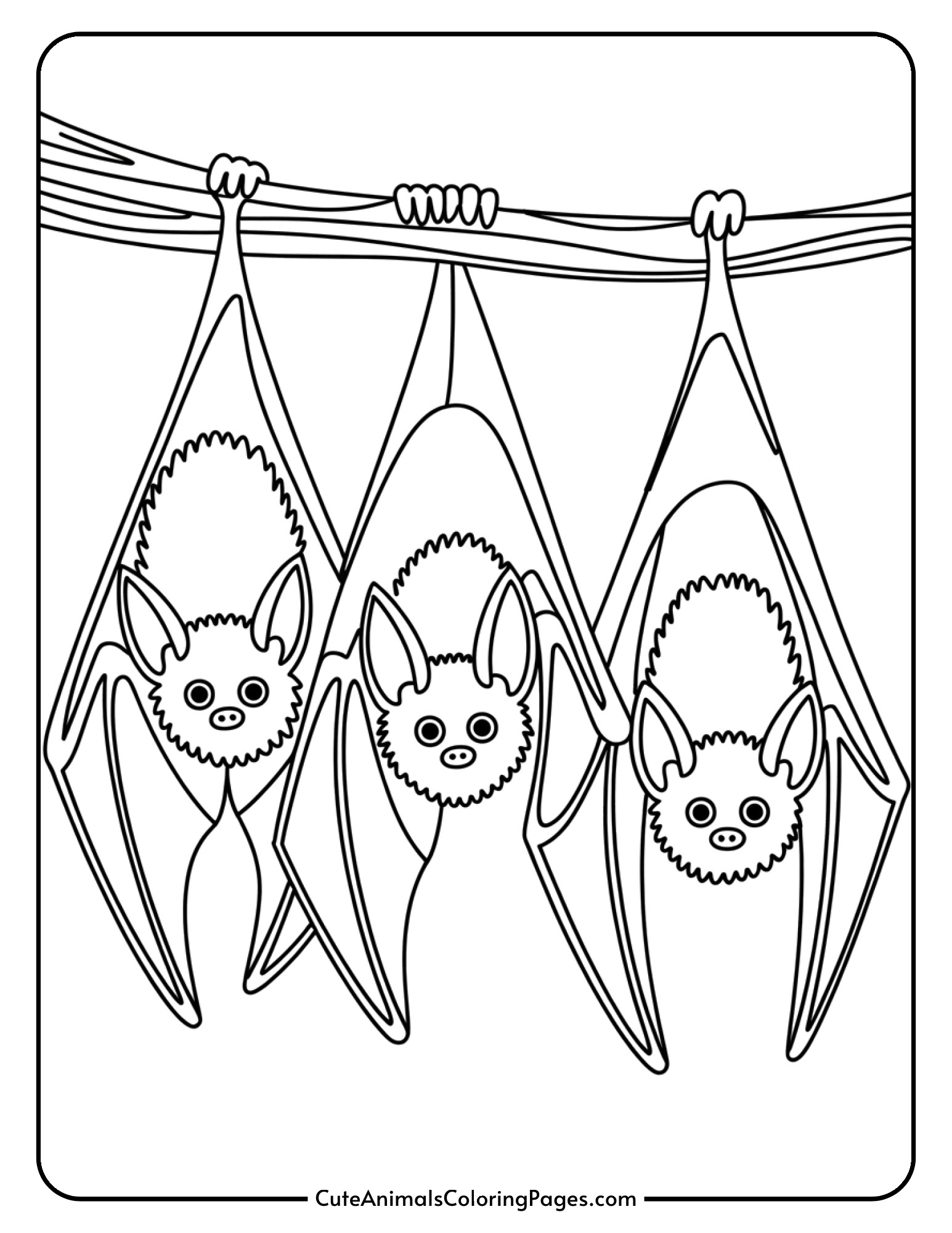 Three bats in different sizes hang from a branch together like a family.