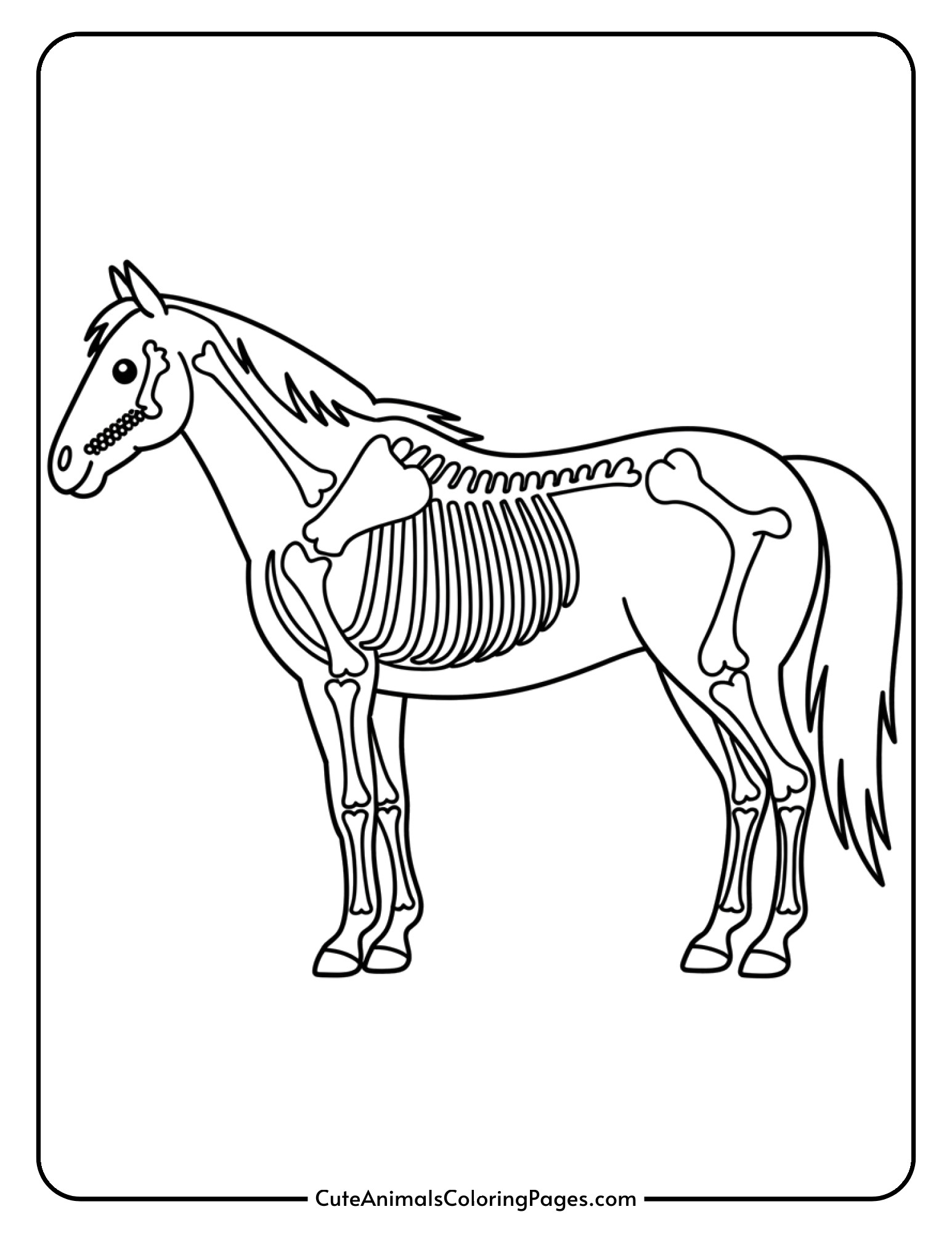 A horse is decorated with bone patterns that create a skeleton costume effect.
