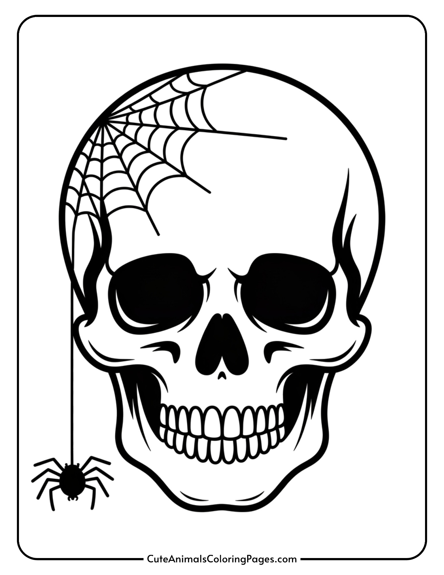 A skull decorated with a spiderweb and tiny spider for Halloween fun.
